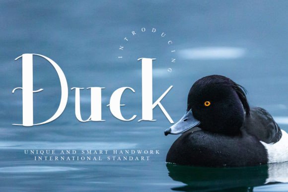 Duck Font Review: A Playful Display for Creative Projects